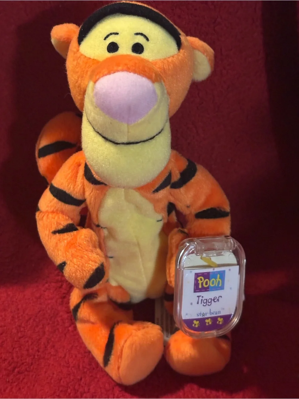 Disney Winnie the Pooh Tigger 